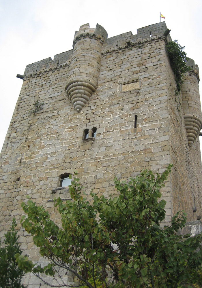 Torre del Homenaje del Castillo de San Felices de los Gallegos Puente de los Franceses