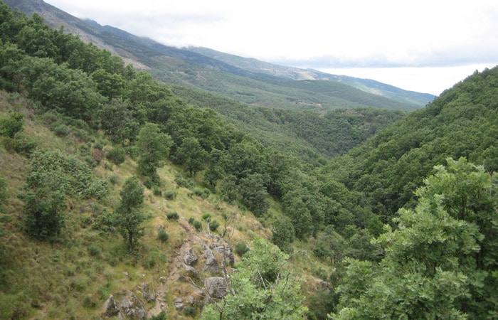 Vista del Valle del Ambroz La Chorrera Hervás