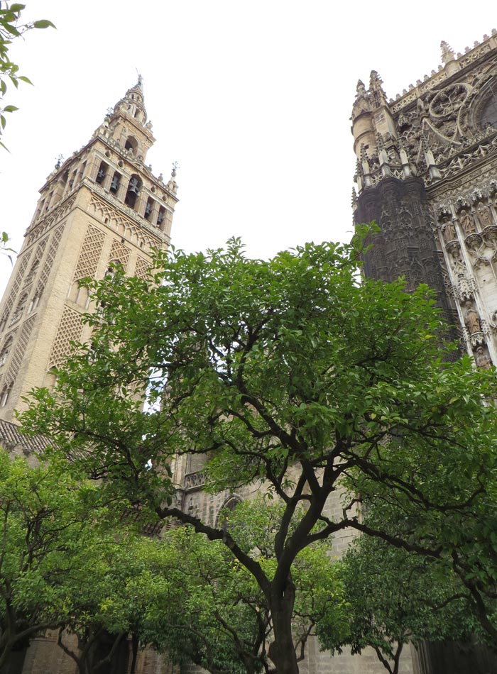 Patio de los Naranjos de la Catedral monumentos de Sevilla