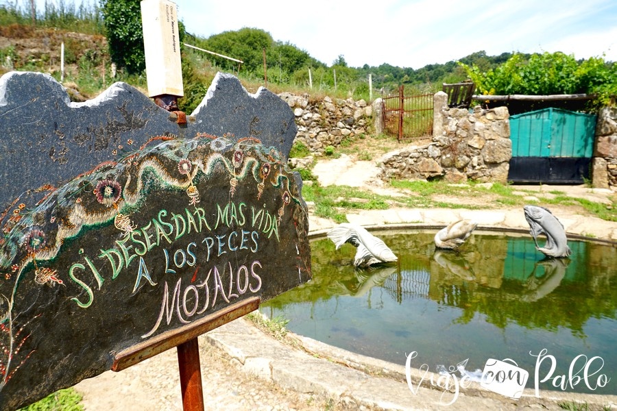Peces de Marcos Rodríguez en Villanueva del Conde camino de los prodigios
