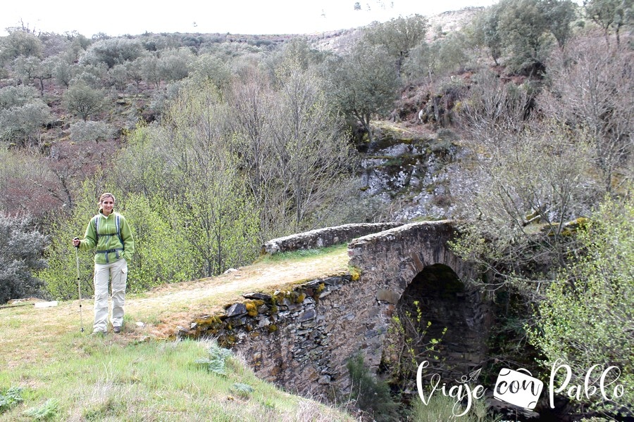 Puente sobre el arroyo del Cerezo ruta Monsagro-El Vao