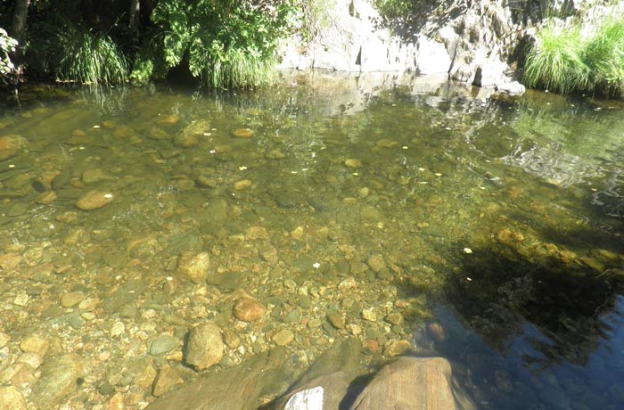 Cristalinas aguas del río Ladrillar en la piscina natural de Las Mestas