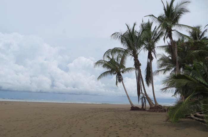 Playa del Parque Nacional de Marino Ballena viajar a Costa Rica por libre