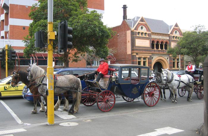 Dos coches de caballos en una calle de la ciudad qué ver en Melbourne