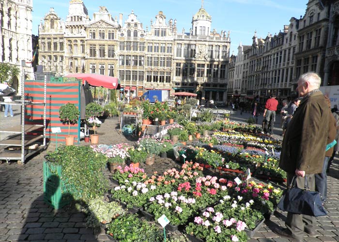 Mercado de flores en la Grand Place de Bruselas plazas más bonitas de Europa