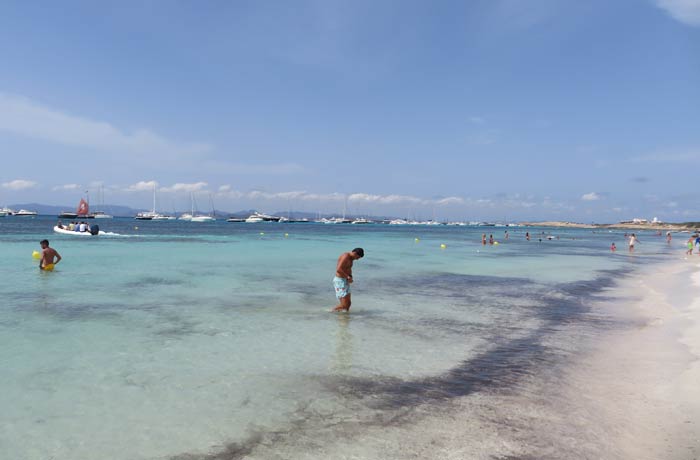 Agua limpia con algo de posidonia en Es Cavall d’en Borrás Playas de Formentera