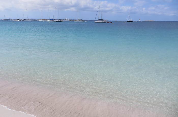 Aguas transparentes en la playa de S'Alga en la isla de Espalmador Playas de Formentera