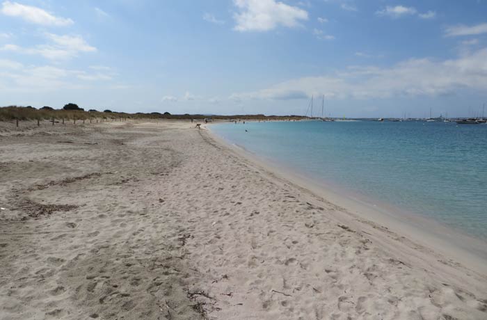 Tranquilidad total en S'Alga Playas de Formentera