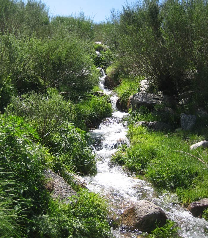 Arroyo afluente el río Zezere Sierra de la Estrella