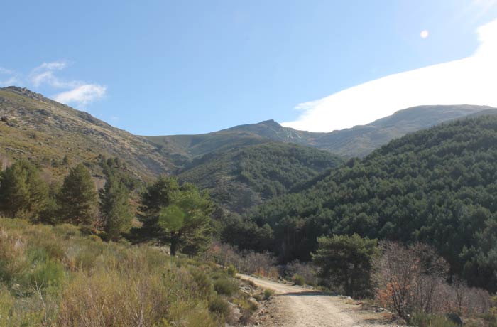 Cumbres de las sierras de Béjar y Candelario desde la ruta
