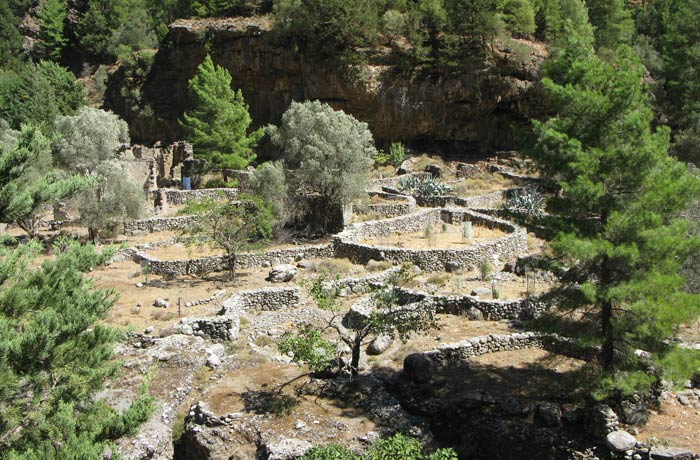 Restos del antiguo poblado de Samaria