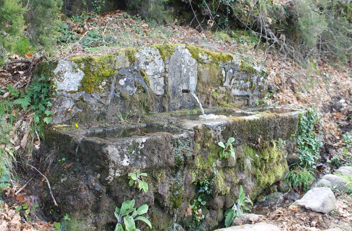 Una de las fuentes que se puede ver en la ruta entre Navaconcejo y Piornal senderismo en el Jerte