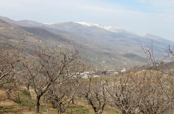 Vista del Valle del Jerte y de las cumbres de las sierras de Béjar y Candelario senderismo en el Jerte
