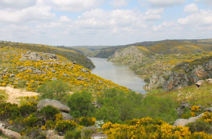 Vista del río Duero desde el camino que lleva a la peña de La Campana Cascada de Abelón