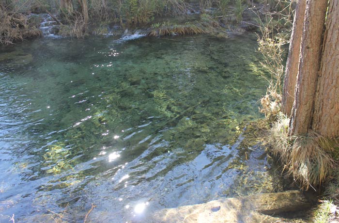 El agua del río Cuervo, totalmente cristalina