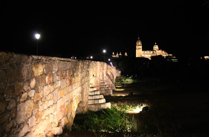 Puente Romano y Catedral vistas de Salamanca
