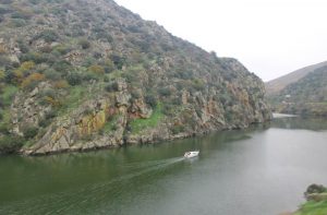 Ruta En El Tren Pocinho Regua Acompa Ando Al Duero Vcp