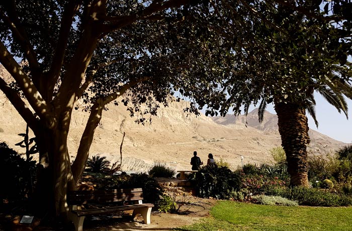 Mirador del jardín botánico de Ein Gedi al desierto mar Muerto en Israel