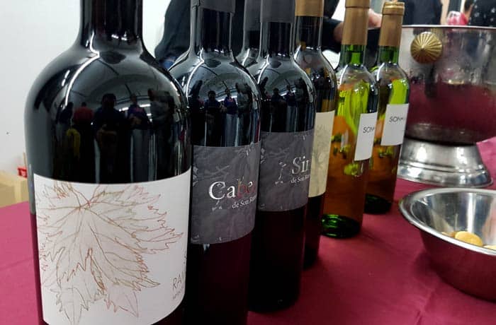 Algunos de los vinos que probamos en la Nit del Vi en Inca qué hacer en Mallorca en invierno