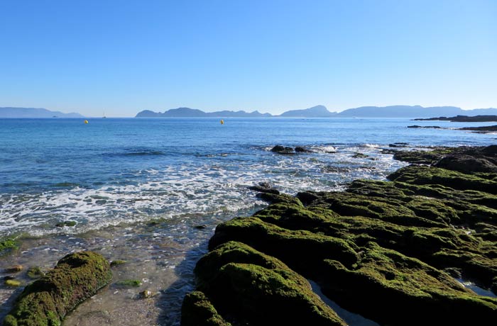 Rocas cubiertas de algas en la playa de Melide