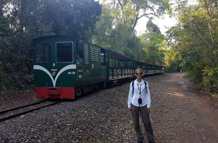 Tren de las Cataratas del Iguazú