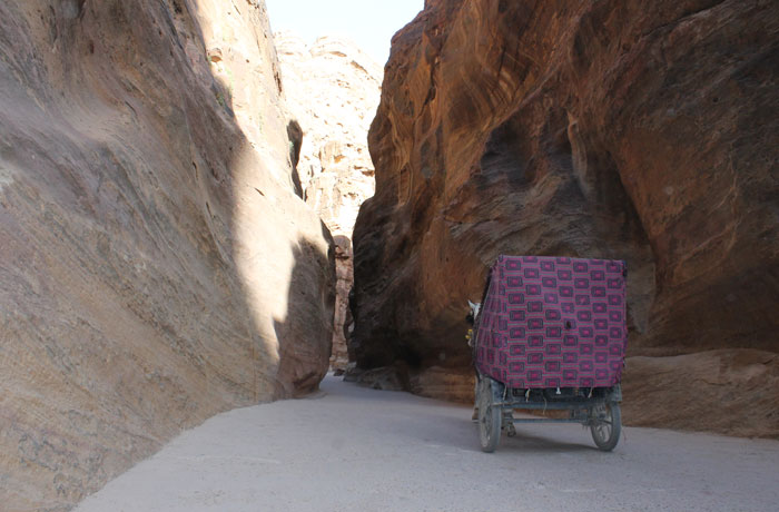 Un carruaje por el desfiladero que ver en Petra