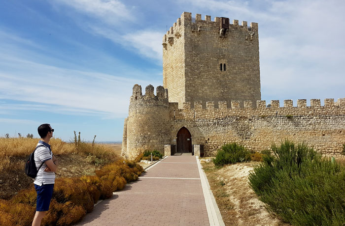 Castillo de Tiedra