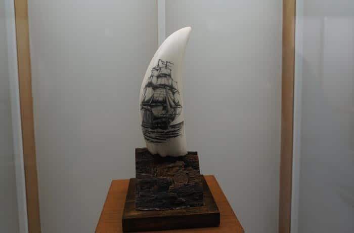 Arte en el colmillo de una ballena en el museo dos Baleeiros