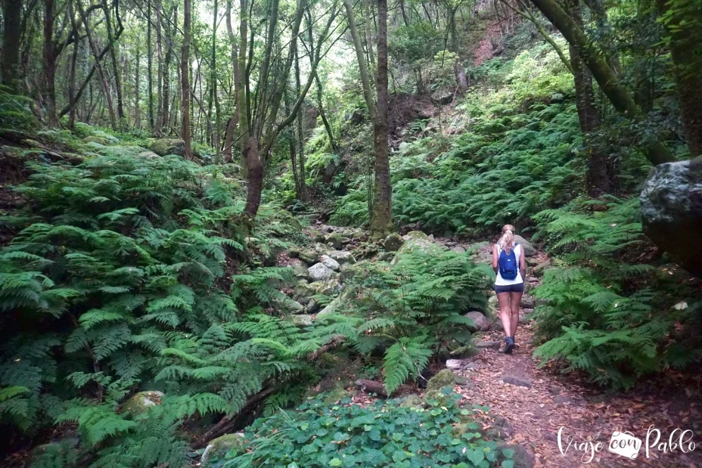 Sendero del Cubo de la Galga